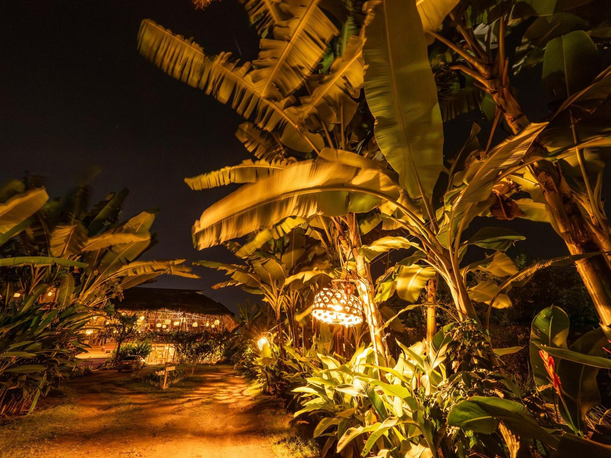 Mount Kilimanjaro 360 View Cottage Uru Экстерьер фото
