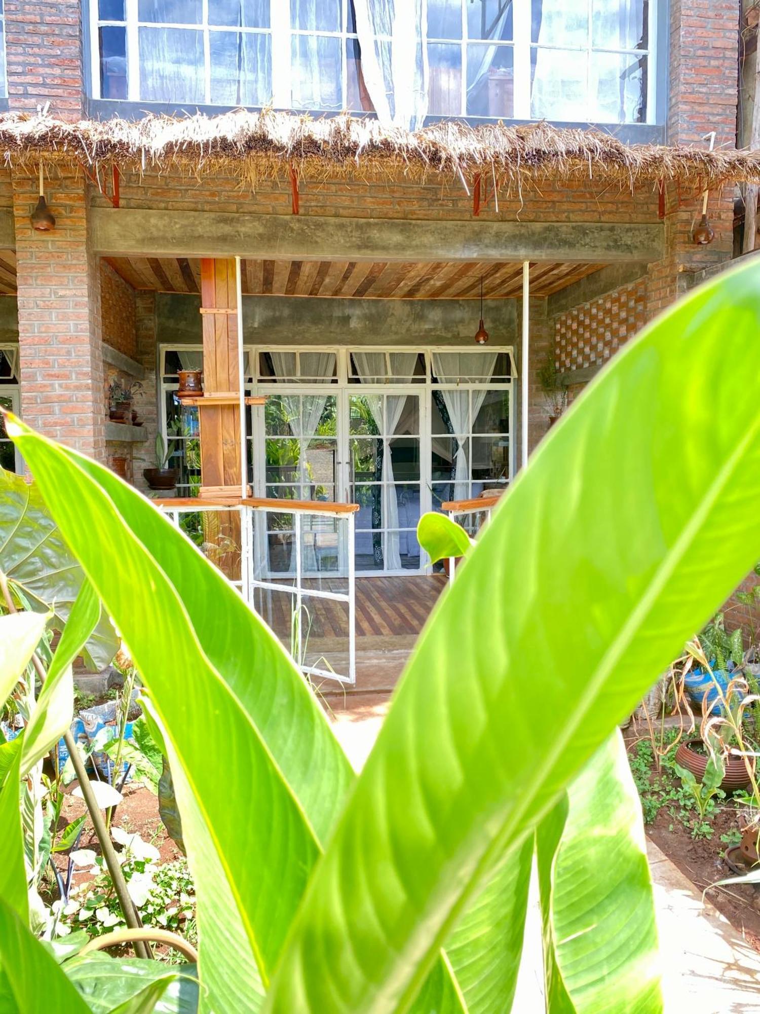 Mount Kilimanjaro 360 View Cottage Uru Экстерьер фото