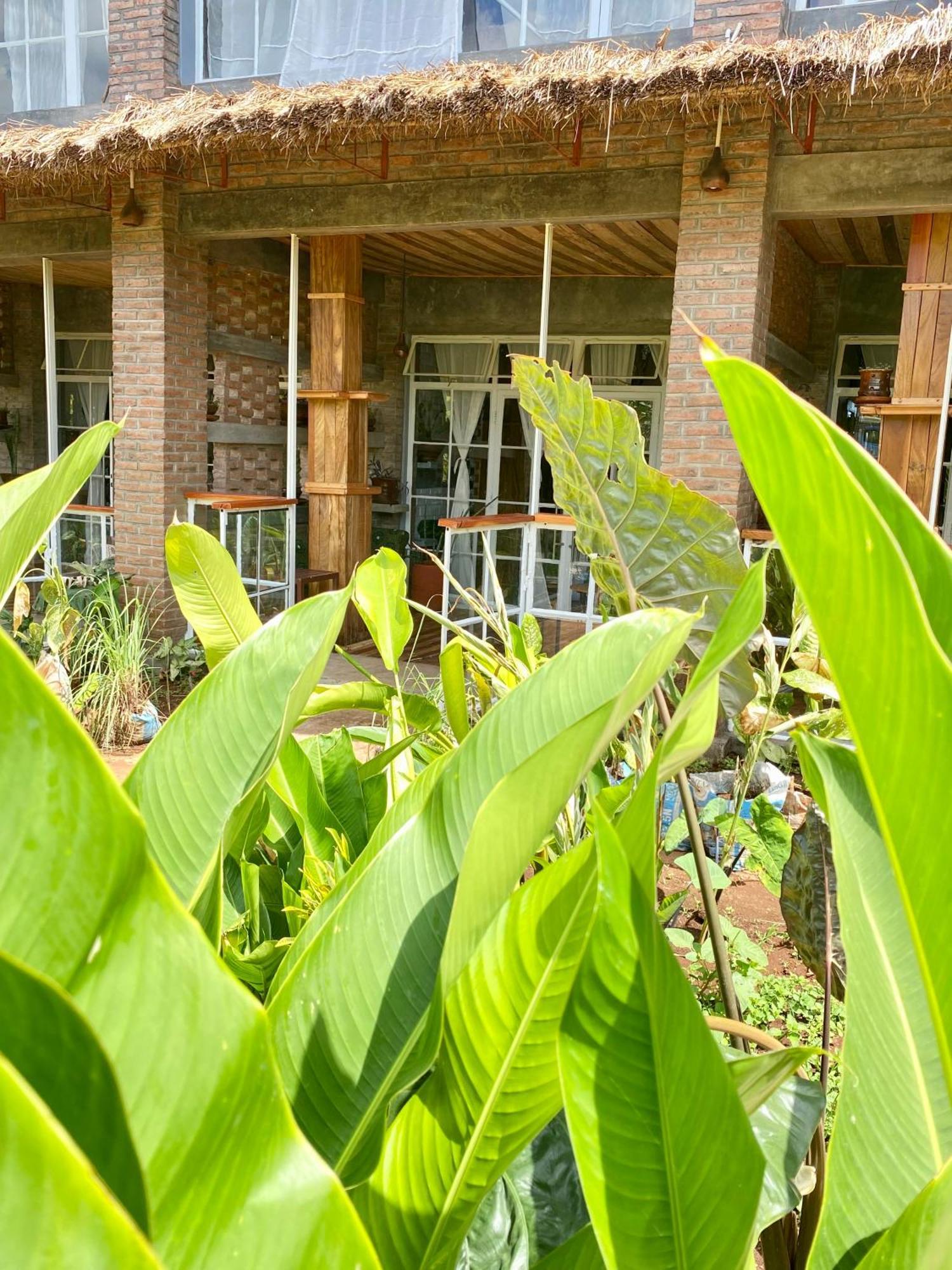 Mount Kilimanjaro 360 View Cottage Uru Экстерьер фото