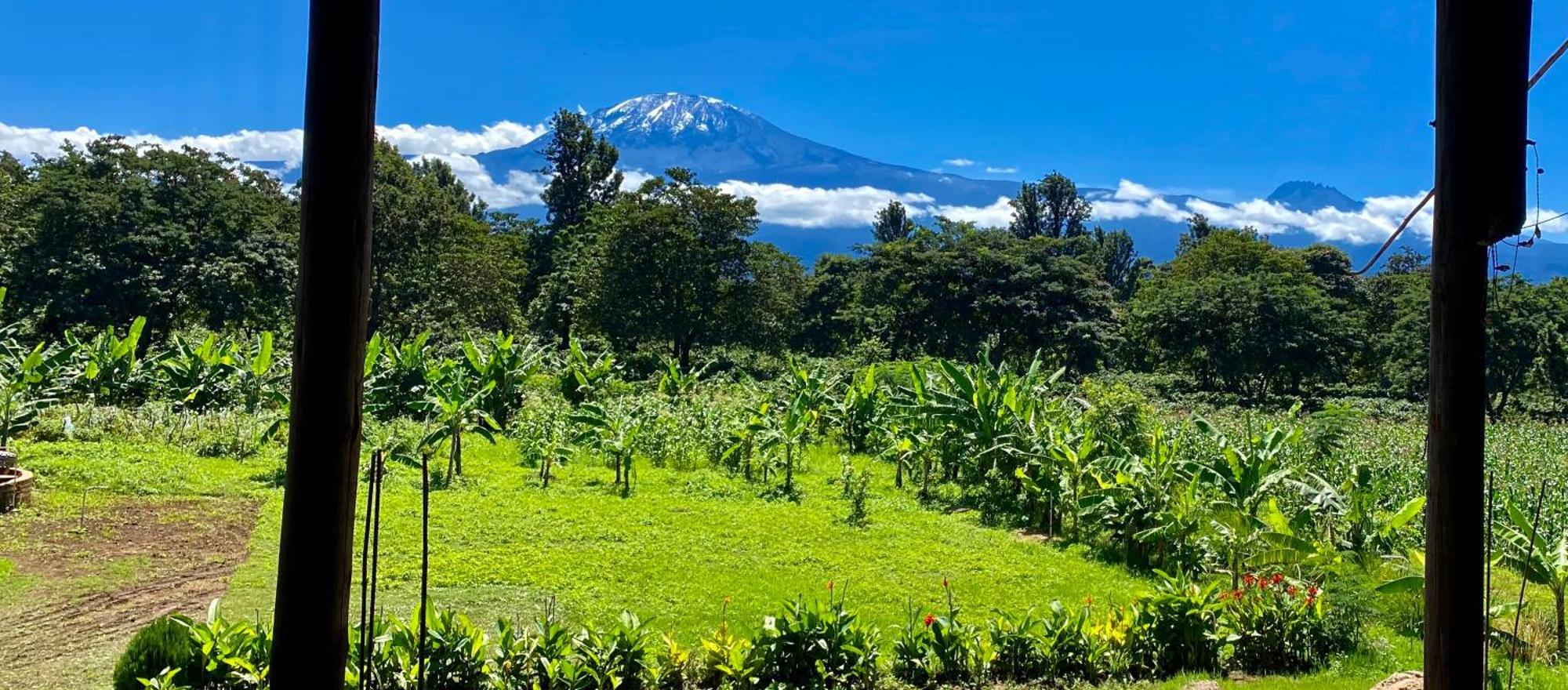 Mount Kilimanjaro 360 View Cottage Uru Экстерьер фото