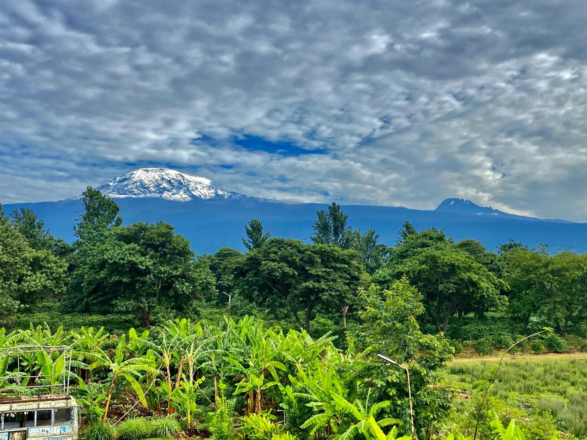 Mount Kilimanjaro 360 View Cottage Uru Экстерьер фото
